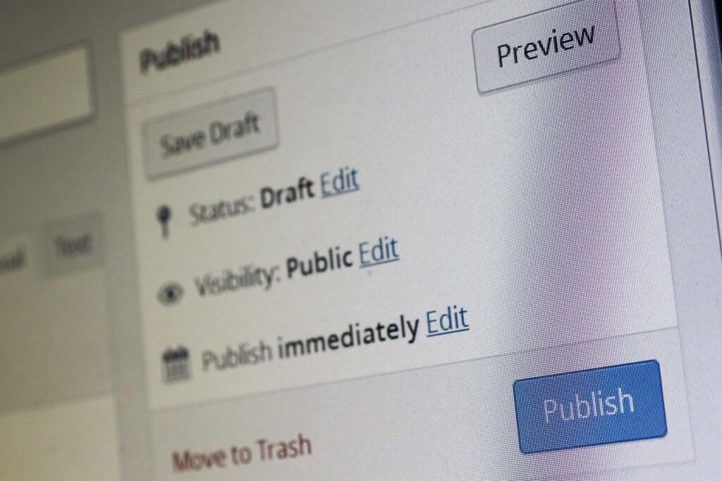 Close-up of the WordPress post editor screen showing draft, visibility, and publish settings used for managing content in WooCommerce or WordPress websites