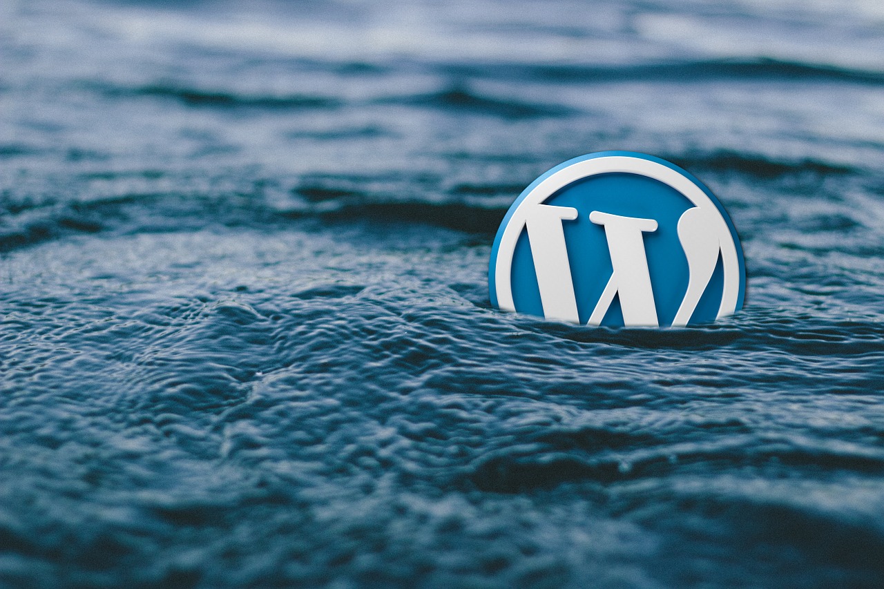 WordPress logo floating on water, symbolizing the flexibility and adaptability of WordPress website development